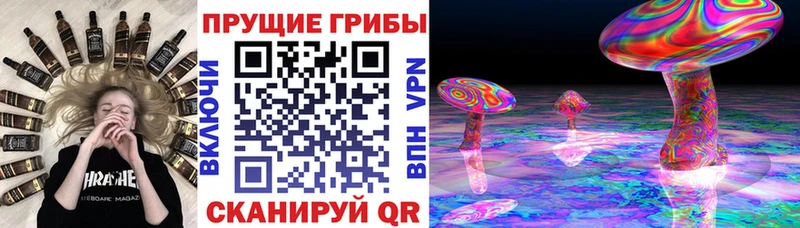 гидра зеркало  Медвежьегорск  Галлюциногенные грибы мицелий 